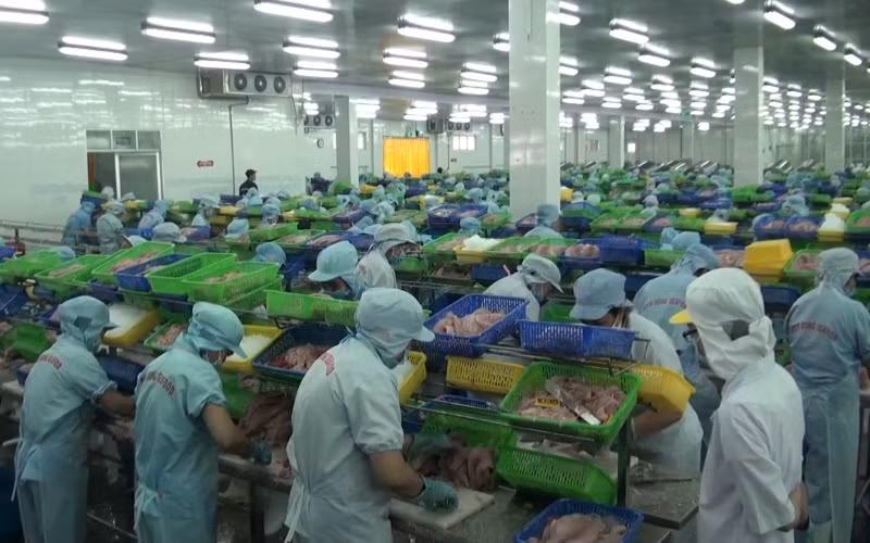Hàng nghìn doanh nghiệp ở đồng bằng sống Cửu Long “đuối sức” phải ngừng hoạt động vì dịch bệnh.