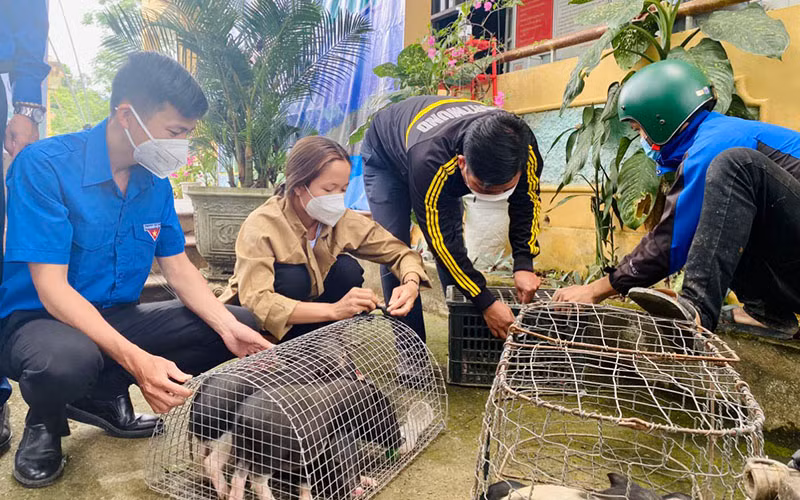 Tuổi trẻ Đà Nẵng cùng hành trình “Tháng 3 biên giới” -0