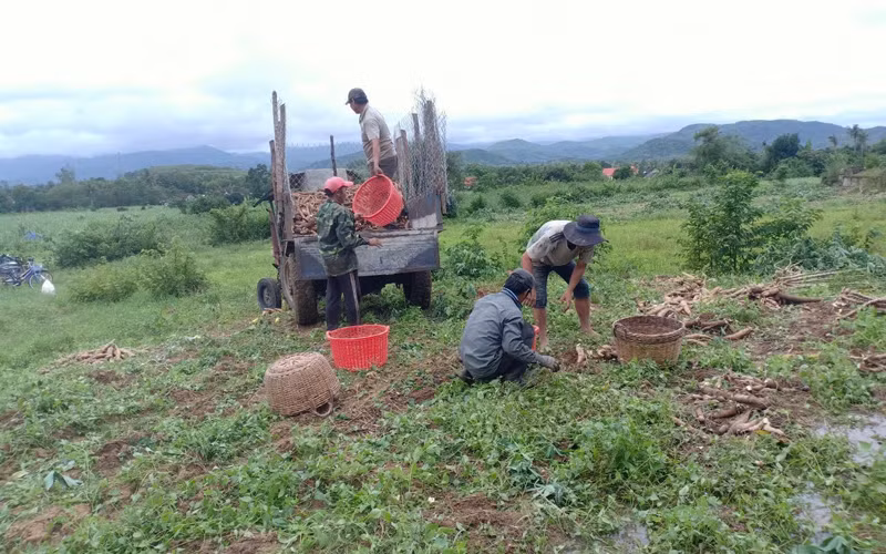 Nhiều nơi ngập sâu, huyện Đồng Xuân sẵn sàng phương án di dời dân -0