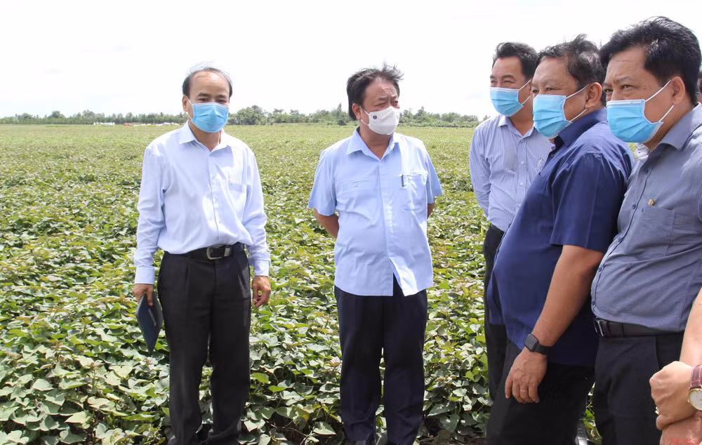 Kỳ 3: Thay đổi tư duy từ sản xuất nông nghiệp sang kinh tế nông nghiệp -0