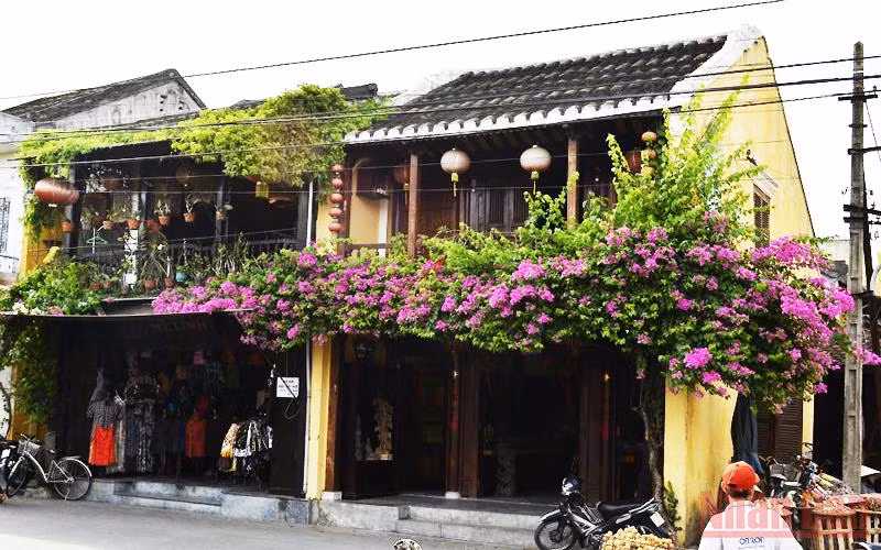 Một góc Hội An thơ mộng (Ảnh: T.LINH)