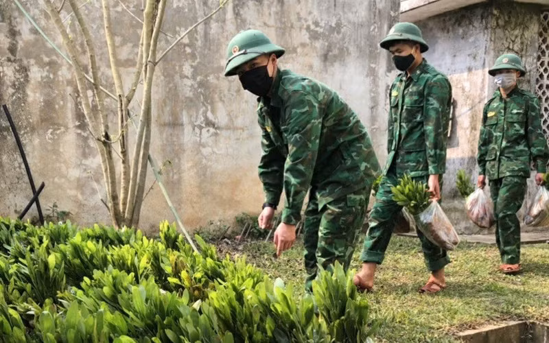 Bộ đội biên phòng Sơn La hưởng ứng đề án trồng 1 tỷ cây xanh -0