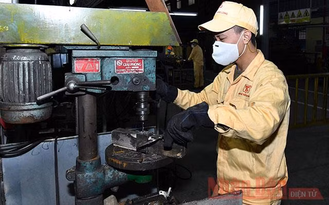 Ảnh minh họa: Duy Linh.