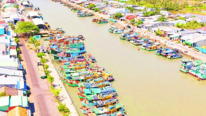 Ngư dân Trà Vinh vươn khơi bám biển giữa giá nhiên liệu tăng cao