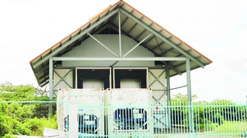 Trường Đại Học và Kho Lạnh Tỷ Đồng Bị Bỏ Hoang: Lãng Phí Tài Nguyên Nghiêm Trọng