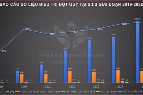 Báo cáo số liệu điều trị đột quỵ tại S. I. S giai đoạn 2019-2025