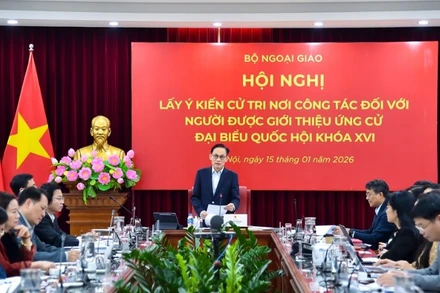 Bộ trưởng Ngoại giao Lê Hoài Trung phát biểu tại hội nghị. (Ảnh: Bộ Ngoại giao)
