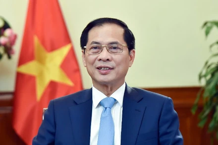 Phó Thủ tướng, Bộ trưởng Ngoại giao Bùi Thanh Sơn. (Ảnh: Bộ Ngoại giao)