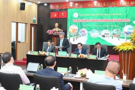 Quang cảnh Đại hội đồng cổ đông thường niên VRG năm 2025.