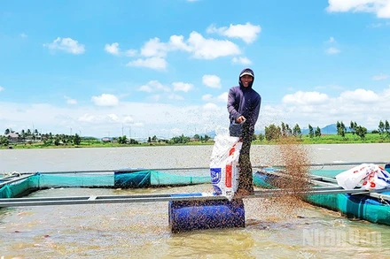 Nuôi cá lồng bè mang lại thu nhập ổn định cho người dân xã Cửu An.