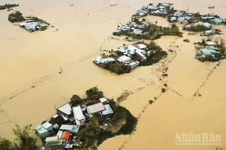 Một số khu vực ở phường Quy Nhơn Bắc, Gia Lai, tái ngập (Ảnh AN NHIÊN)