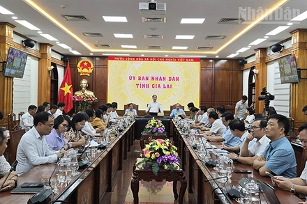 Tỉnh Gia Lai tổ chức họp khẩn ứng phó bão Kalmaegi.