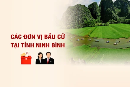 [Infographic] Các đơn vị bầu cử đại biểu Quốc hội tại tỉnh Ninh Bình