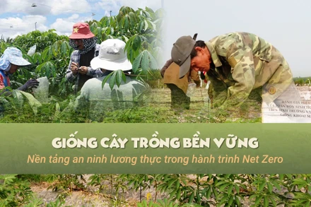 Giống cây trồng bền vững – Nền tảng an ninh lương thực trong hành trình Net Zero