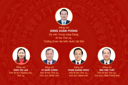 [Infographic] Đại hội đại biểu Đảng bộ tỉnh Ninh Bình lần thứ I, nhiệm kỳ 2025-2030