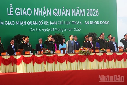 Các đại biểu thực hiện nghi thức chào cờ.