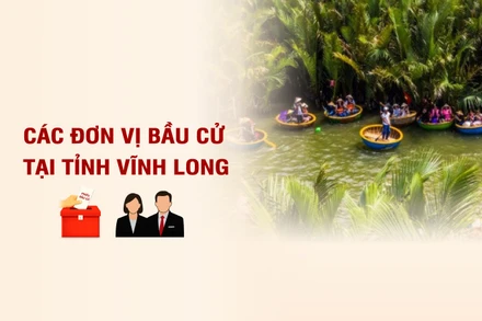 [Infographic] Các đơn vị bầu cử đại biểu Quốc hội tại tỉnh Vĩnh Long