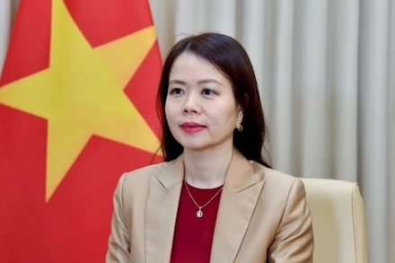Thứ trưởng Ngoại giao Nguyễn Minh Hằng. (Ảnh: Bộ Ngoại giao)