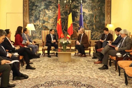 Phó Thủ tướng Chính phủ Bùi Thanh Sơn đã có cuộc làm việc với Chủ tịch Hạ viện Liên bang Bỉ Peter De Roover. (Ảnh: Bộ Ngoại giao Việt Nam)