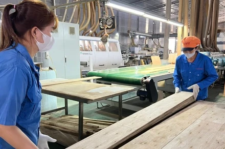 Hoạt động sản xuất tại nhà máy của Công ty Trách nhiệm hữu hạn Lechenwood Việt Nam. (Ảnh: TUẤN SƠN)