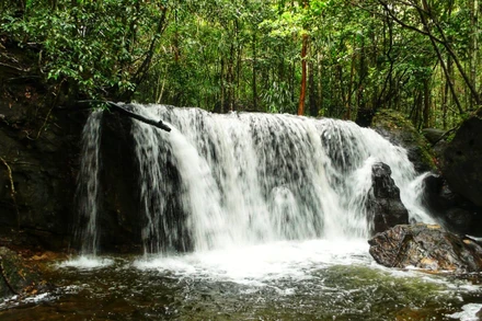Một dòng thác trên dòng Suối Tranh với cảnh sắc thiên nhiên hữu tình.