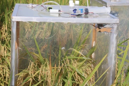 Thiết bị đo phát thải được thực hiện thí điểm trên đồng ruộng ở khu vực đồng bằng sông Cửu Long. (Ảnh: ÁNH NGUYỆT)