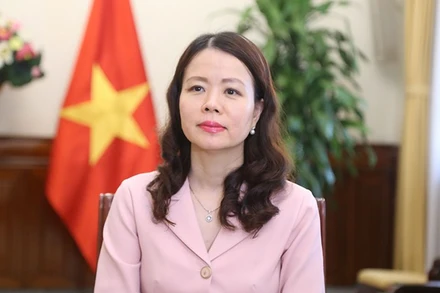 Thứ trưởng Ngoại giao Nguyễn Minh Hằng. (Ảnh: Bộ Ngoại giao Việt Nam)