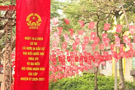 [Video] Cử tri trẻ gửi gắm niềm tin trong lá phiếu đầu tiên