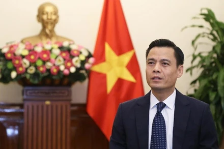 Thứ trưởng Ngoại giao Đặng Hoàng Giang. (Ảnh: Bộ Ngoại giao)