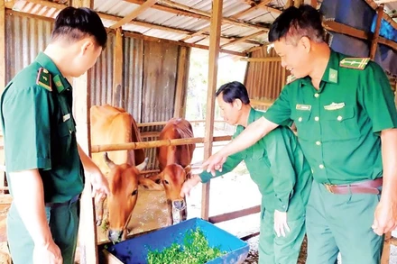 Cán bộ Đồn Biên phòng Đắk Ơ thăm hỏi các hộ dân được tặng bò giống.