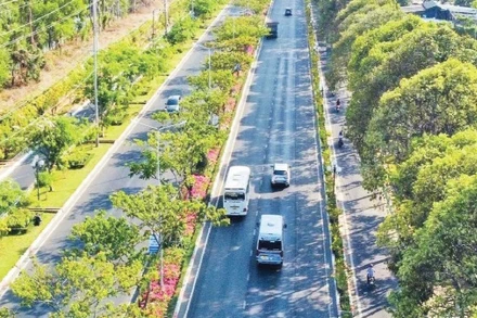 Mầu xanh đô thị đường 3/2, thành phố Vũng Tàu.