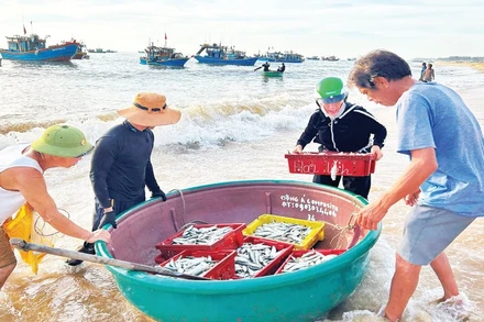 Những chuyến tàu đầy ắp cá tôm được chuyển vào đất liền.