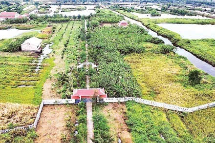 Một góc Di tích lịch sử quốc gia Biệt khu Hải Yến-Bình Hưng (xã Tân Hải, huyện Phú Tân, tỉnh Cà Mau).