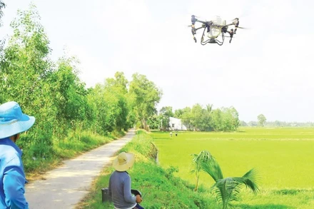 Nông dân tỉnh Trà Vinh sử dụng thiết bị không người lái bón phân cho ruộng lúa.