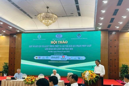 Chủ tịch Hiệp hội Phân bón Việt Nam Phùng Hà phát biểu tại hội thảo.