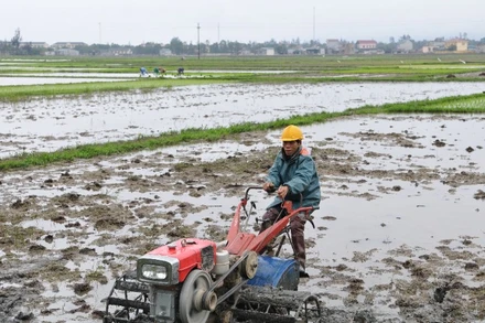 Nông dân ở xã Lộc Hà, tỉnh Hà Tĩnh làm đất gieo cấy lúa vụ hè thu-mùa. (Ảnh: Đăng Khoa)