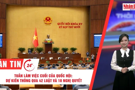 [Video] Thời sự 24h ngày 7/12/2025: Tuần làm việc cuối của Kỳ họp thứ 10, Quốc hội khoá XV: Dự kiến thông qua 42 Luật và 18 Nghị quyết 