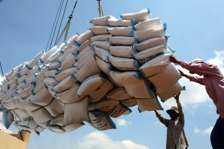 Hàn Quốc tăng cường xuất khẩu gạo