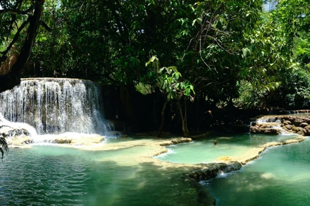 Dòng nước xanh độc đáo của thác Kuang Si tạo thành vô số "hồ bơi" giữa thiên nhiên.