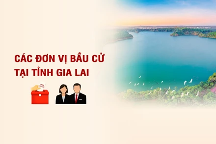 [Infographic] Các đơn vị bầu cử đại biểu Quốc hội tại tỉnh Gia Lai