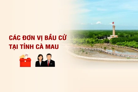 [Infographic] Các đơn vị bầu cử đại biểu Quốc hội tại tỉnh Cà Mau
