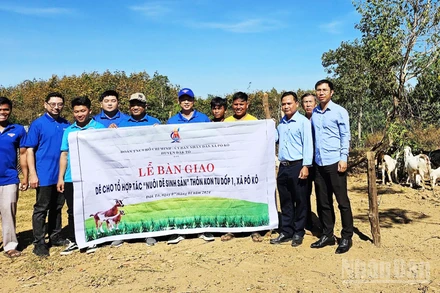 Thành lập Tổ hợp tác thanh niên Nuôi dê sinh sản thôn Kon Tu Dốp 1.