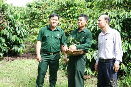 Ông Nguyễn Thanh Bình (đứng giữa) gương sáng cựu chiến binh trong phát triển kinh tế tại cơ sở