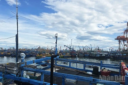 Gia Lai yêu cầu các lực lượng chức năng khẩn trương phối hợp triển khai công tác tìm kiếm, cứu nạn tàu cá BĐ 97258 TS.