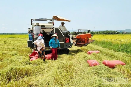 Nước tưới tiêu đến tận ruộng đồng giúp người dân có những mùa bội thu.