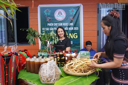 Huyện Tu Mơ Rông phát triển đa dạng các sản phẩm từ dược liệu.