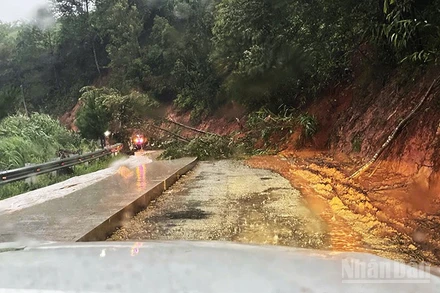 Cây gãy đổ tại tuyến đường Quốc lộ 40B.