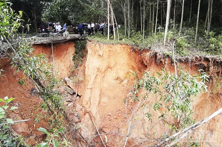 Sạt lở gây nhiều thiệt hại tại Gia Lai 