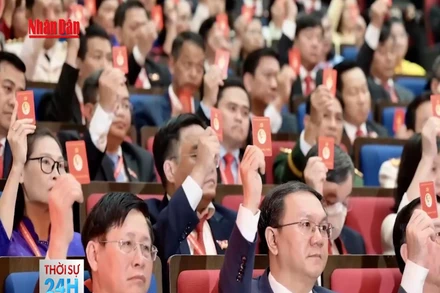 [Video] Đại hội đại biểu Đảng bộ TP Hồ Chí Minh lần thứ I họp phiên trù bị