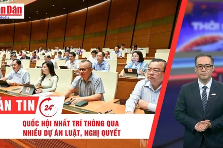 [Video] Thời sự 24h ngày 24/6/2025: Quốc hội nhất trí thông qua nhiều Dự án Luật, Nghị quyết